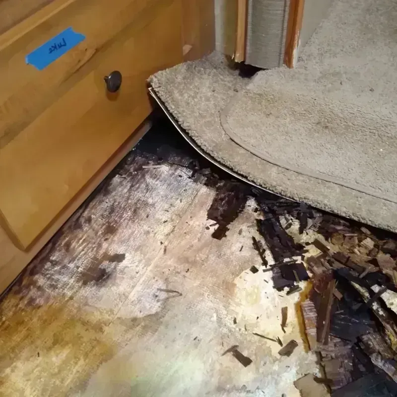 Wood Floor Water Damage in Laughlin, NV